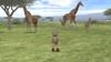 Amazing Animals! ~Take Amazing Photos In a Mysterious Paradise!~ - Wii