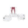 With Base Dental Anatomical Structure Hard Tooth Disintegration Ornaments  Practice Studying Tool