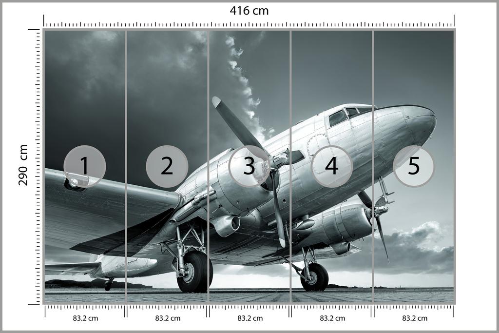 Photomural Propeller Airplane Smooth Vinyl 416x290