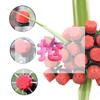 50/100pcs Adjustable Water Sprinkler Thread Connection Spray Nozzle Garden Irrigation Micro Flow Dripper