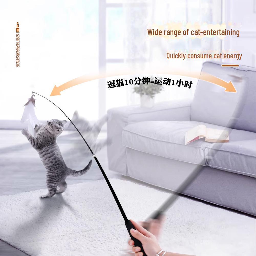 Durable Feather Cat Teaser Rod with New-Style Replacement Head