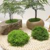 DIY Craft Faux Preserved Moss Polyester Simulation Green Moss Preserved Reindeer Moss  Bonsai