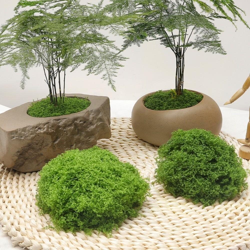 DIY Craft Faux Preserved Moss Polyester Simulation Green Moss Preserved Reindeer Moss Bonsai