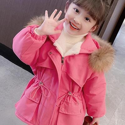 Girls' Korean-Style Winter Coat: Fashionable Fleece and Cotton-Padded Parka, Warm Waist-Length Windbreaker