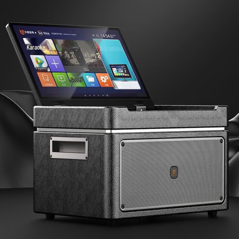 Portable KTV Bluetooth Speaker with Display and Dual Mics (CN Version)