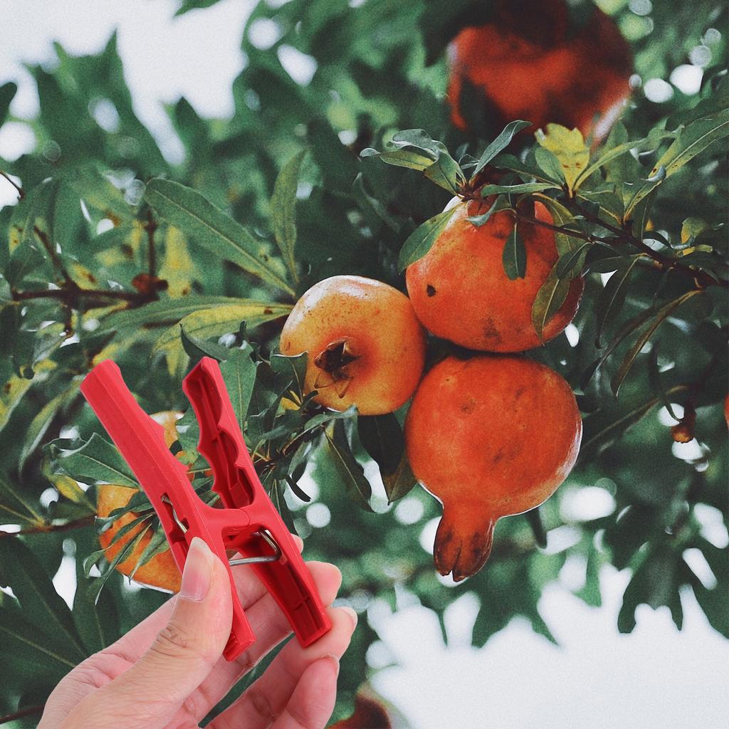 50Pcs Plant Support Clips Heavy Duty Reusable Plastic Vine Clamps for Tomato Cucumber Orchid Climbing Plants Garden Trellis