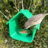with Feeding Bowl Bird Feeder House Plastic Bird Feeding Station Bird Food Dispenser  Backyard