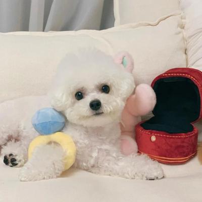 Köpek – Köpek oyuncakları