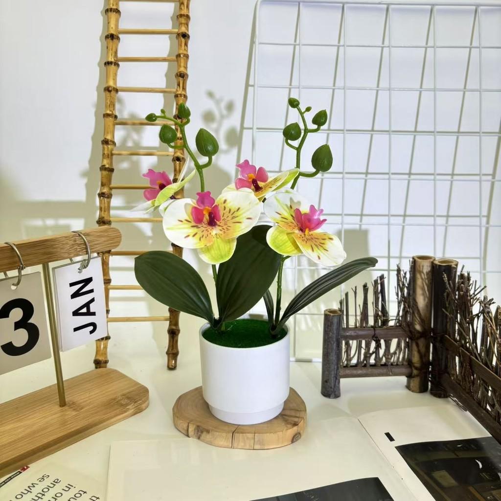 Butterfly Orchid Imitation Flower Set For Home Interior And Outdoor Garden Decoration