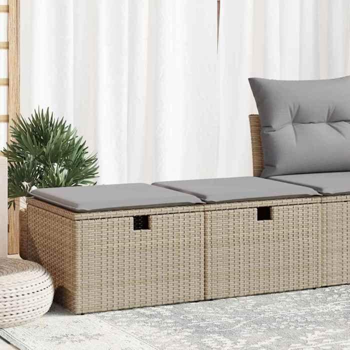 VidaXL Garden Lounge Set with Cushions 2 Pcs Beige Wicker Acacia 3328672