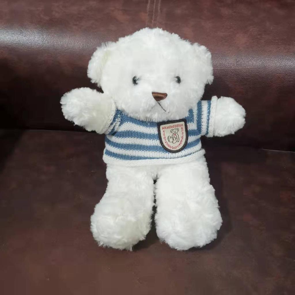 teddy bear doll wholesale Internet celebrity gift box bear doll plush toy for men and women Christmas Eve Christmas gifts