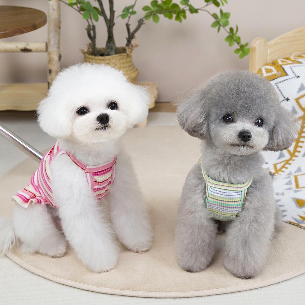 Striped Strawberry Princess Dress for Small Dogs - Spring/Summer Collection