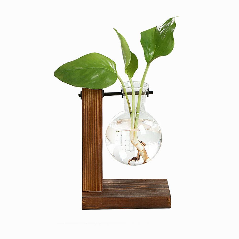 Klare Glas-Vase Mit Holzdeckel & Bambusständer – Perfekt Für Hydropflanzen, Sukkulenten & Blumen