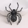 Spider Brooch Shiny Rhinestone Decor Realistic Spider Shape Clothes Collar Decoration Anti-rust Alloy Lightweight Clothes Jewelry Lady Gift