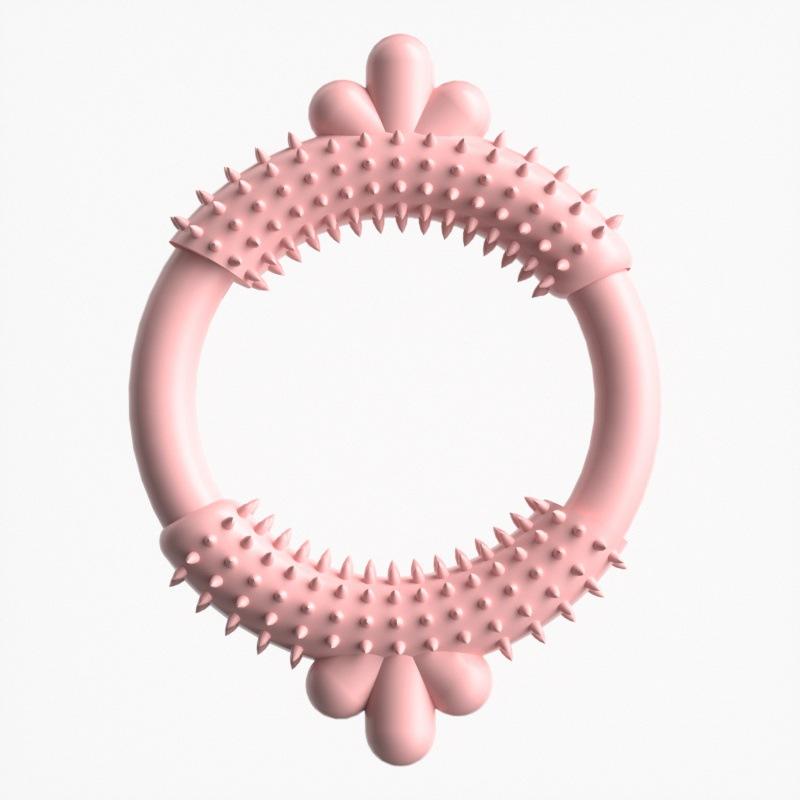 Pet Toy Dog Toy TPR Carrot-shaped Succulent Gnawing Teething Ring Set