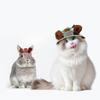 Pet Sun Hat Visor Cap Ear Hole Design for Cats Dogs Rabbits Teddy