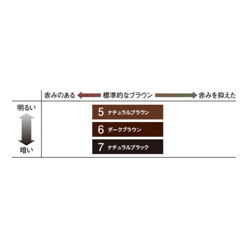 DARIYA - Salon De Pro EX Men's Gray Hair Color