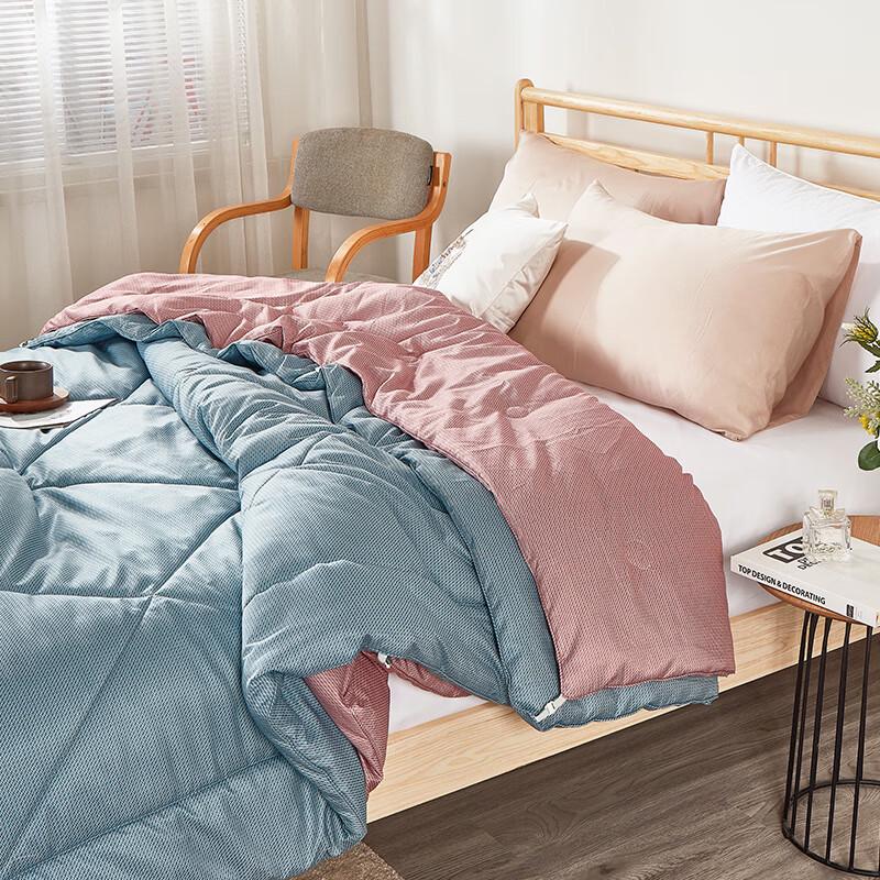 Paul Frank Dual-Core All-Season Comforter