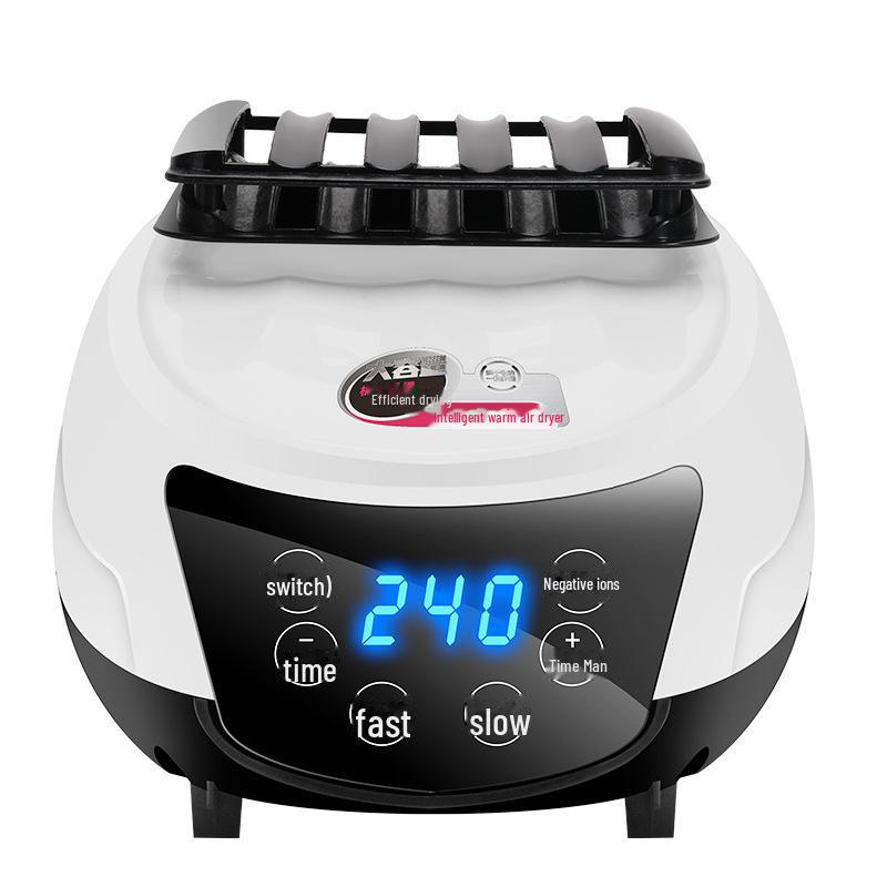 Remote-Controlled Air Dryer with Negative Ion Shield for Household Use