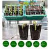 Mini Greenhouse Seed Starter Tray 6/12Grids Plant Starter Kit New Plant Germination Base  Garden