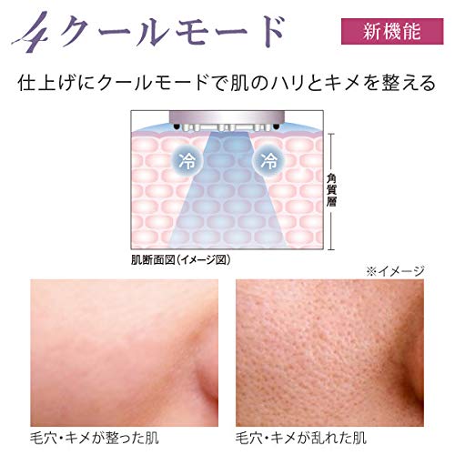 Ebisu Cosmetics (EBiS) Ultrasonic Facial Beauty Device Twin Elenaizer Premium Home Beauty Set