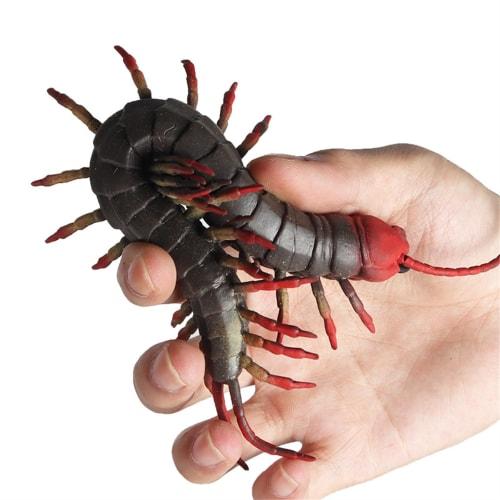 EUHELOPA Centipede Figure, Centipede Model, Chilopoda, Toy, Stress Reliever, Arthropod, Plastic Model, Realistic TPR Material, Decorative Ornament, Op