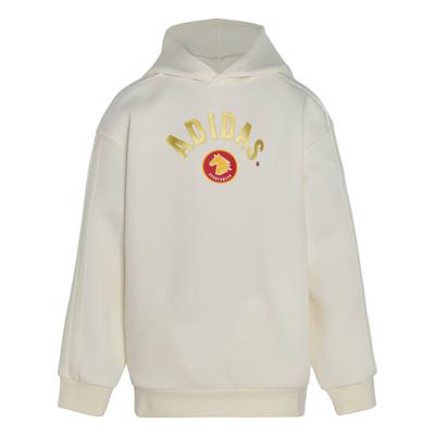 Sportswear Knitted Loose Fit Hoodie Long Sleeve Kids Kids Tops KG5930