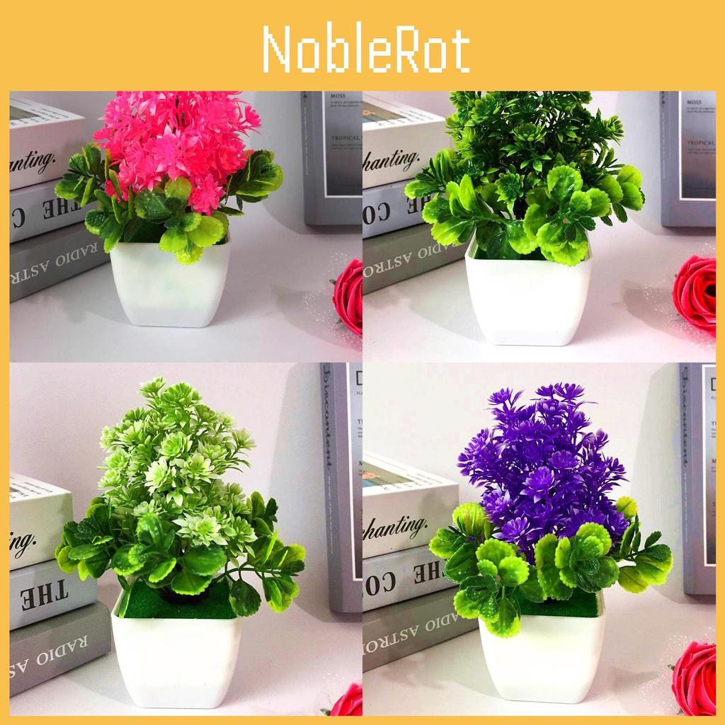 Plant Potted Chrysanthemum Decor For Tabletop Display And Giving Gift