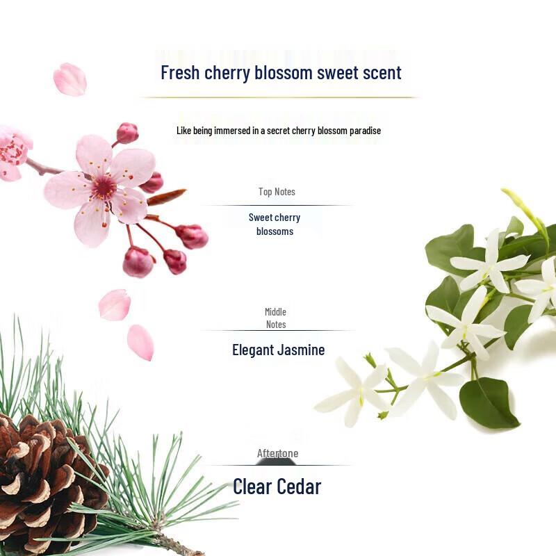 DOVE Cherry Blossom Exfoliating Scrub & Shampoo Set