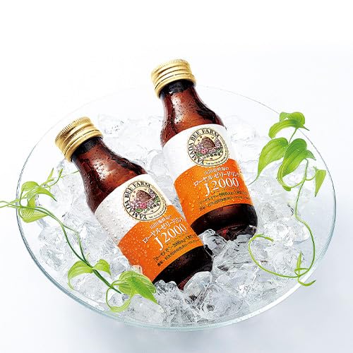 Yamada Bee Farm Gift Royal Jelly Drink J2000 x 10