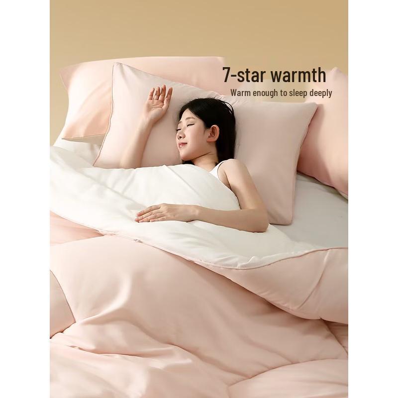 

Mercury Home Textiles Class A Fiber Winter Quilt