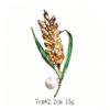 Exquisite Wheat Ear Anti-Exposure Brooch - Versatile Design Pin for Light Luxury Suits