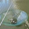 100/80CM Large Round Folding Drop Fishing Net Shrimp Catcher Tank Casting Network Fish Eels Trap Cage Prawn Bait Crab Netting
