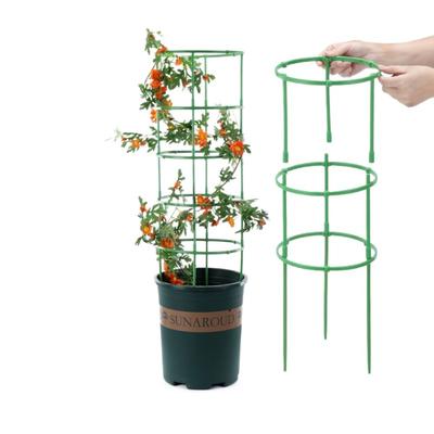 3 Set Durable Green Plant Support Pile Half Round Easy To Use Climbing Vines Stake Removable Flower Ring Support Rack