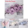 Artificial Phalaenopsis Aphrodite Wedding Path Flowers With Silk Material For Event And Home Decor