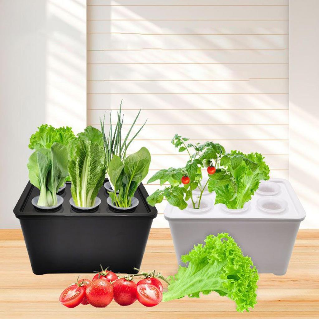 Hydroponiskt planteringskit för inomhusbruk Komplett planta-låda för att odla sallat, blommor på balkongen, i lägenheter & hotell