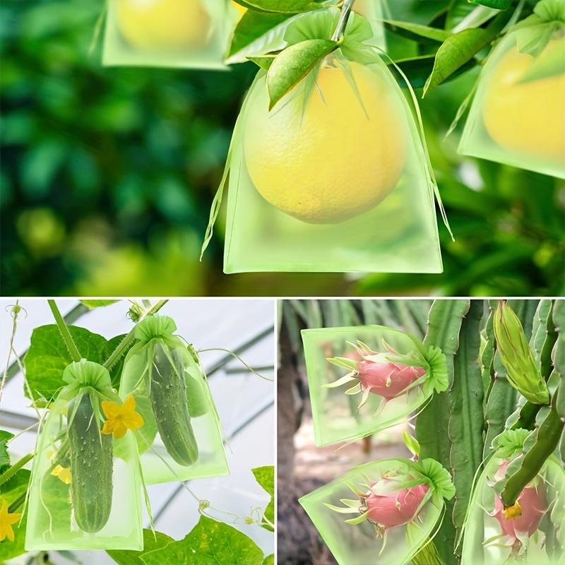 100Pcs Green protective bag with zipper,fruit trees, transparent mesh barrier for plants, perfect for gardening and pest control