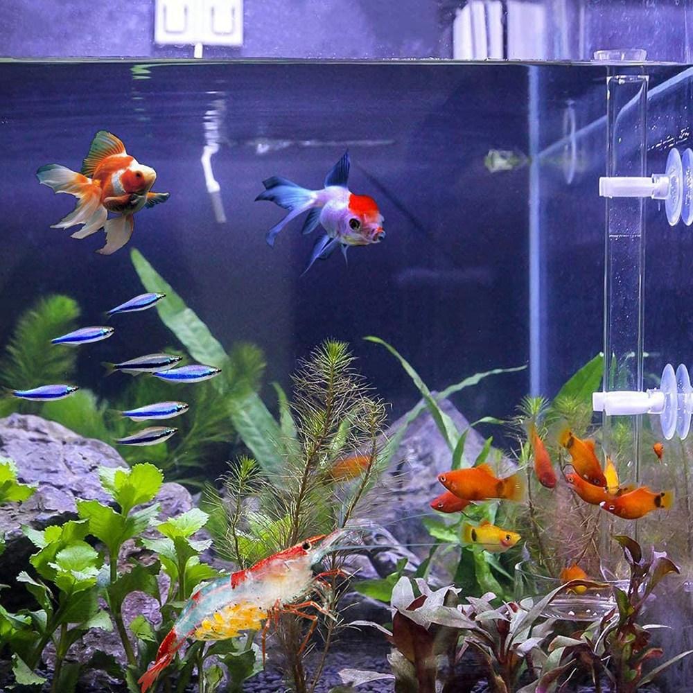 T02C!35Cm Acrylic Shrimp Feeder Tube Feeding Dish Bowls For Fish Tank Aquarium Shrimp Fish, With 2 Suction Cups
