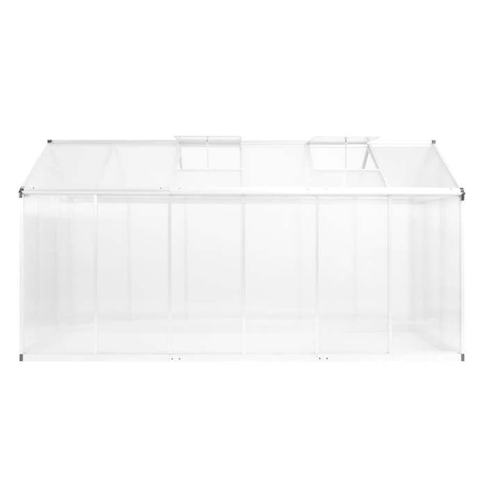 VidaXL Serre Aluminium 362x190x195 cm Serre de Jardin Légume Plante Jardinage 45216