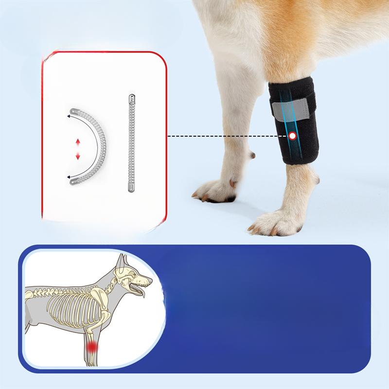 The Front Leg Injury Recovery Strap Velcro of The Dog Knee Brace Protects The Dog's Joint and The Adjustable Knee Brace