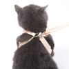 Z Pet Chest Strap Leather Amoy Traction Rope I-shaped Strap Bow Korean Version Cat Supplies Cat Traction