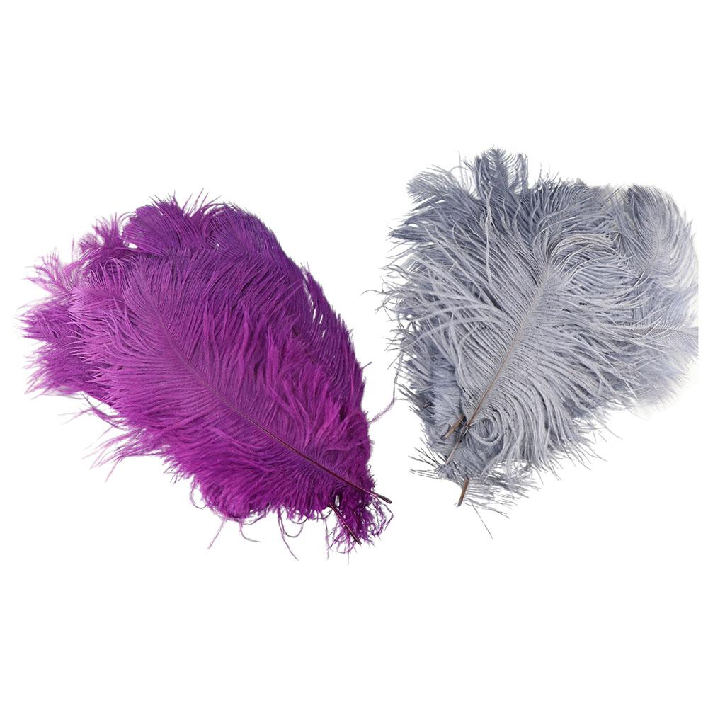 Natural Accessories Colorful Jewelry Making Clothing Decoration Home Decor Ostrich Feathers Plumas