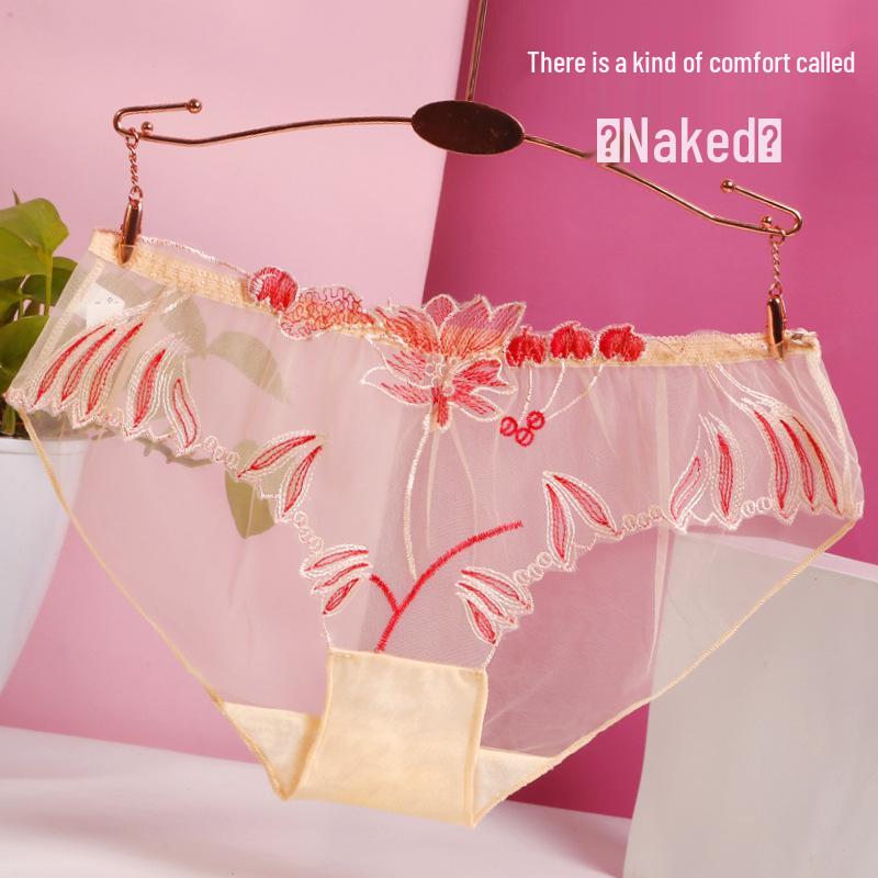 Plus Size Women's Sexy Lace Mesh Embroidered Triangle Panties