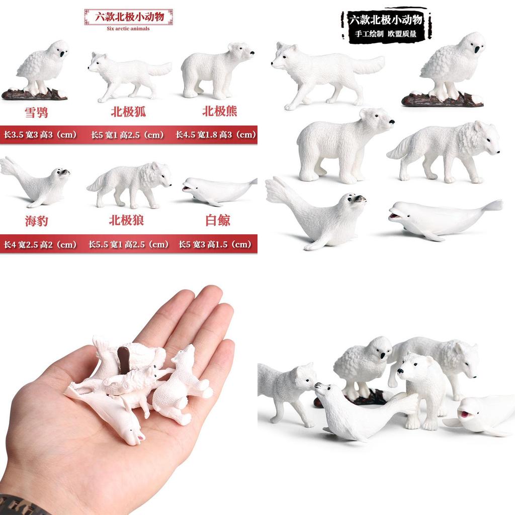 Miniatur Meeresbewohner Figuren Set Mit Statischem Design Für Geschenk Und Ausstellung