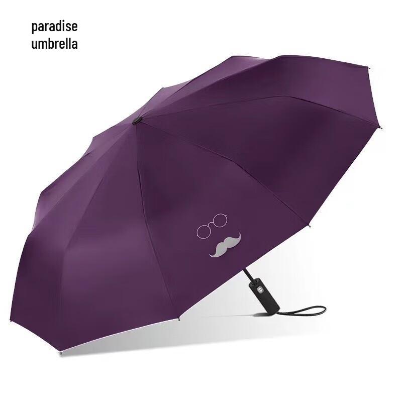 Tiangang 10-Rib Black Vinyl Business Umbrella