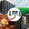 Dual Digital Thermostat Temperature Controller Two Relay Output Thermoregulator for Incubator Heating Cooling XK W1088