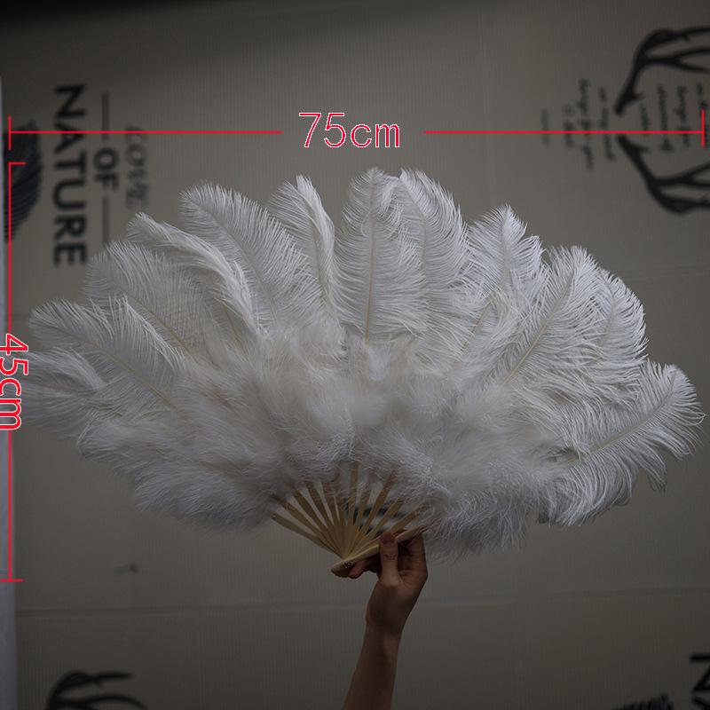 Colorful Ostrich Feather Folding Fan for Stage & Fashion Shows
