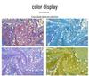 Embroidered 5mm Sequin Mesh Fabric for Wedding Dress, Skirt, Bag, and Shiny Decor