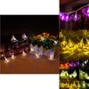 Striking Halloween Led Fairy Lights Adorned With Playful Pumpkins Spiders Skeletons For Unique Window Decor