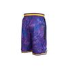 Nike Lakers Sports Knit Shorts Men Bottoms DJ4036-504